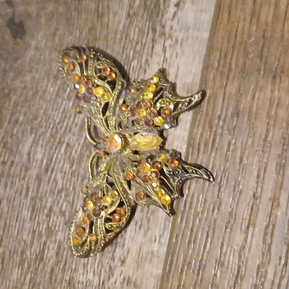 Butterfly‎ brooch